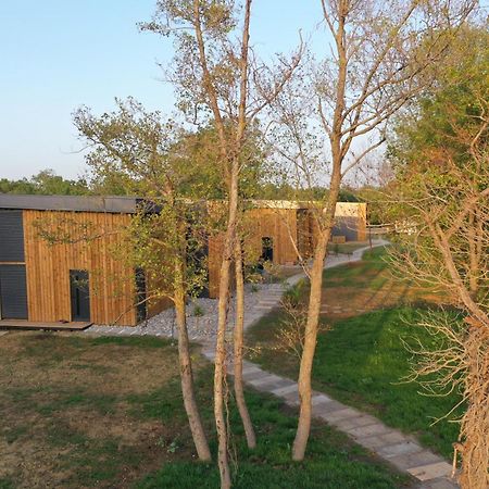 Salinas Nest - Ulcinj Stoj Ada Bojana Villa Exterior photo
